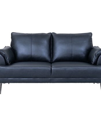 Elegant 2-personers sort lædersofa i skandinavisk stil